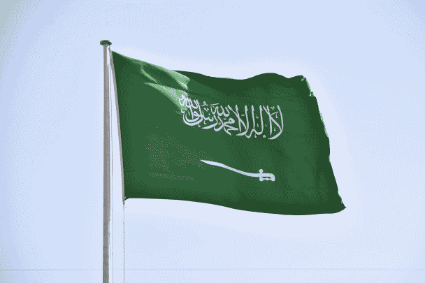 السياسة السعودية watanserb.com