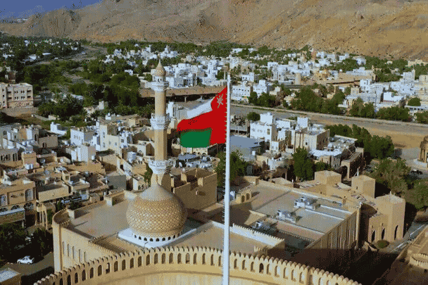 الإمارات تستعين بـ عُماني هارب watanserb.com