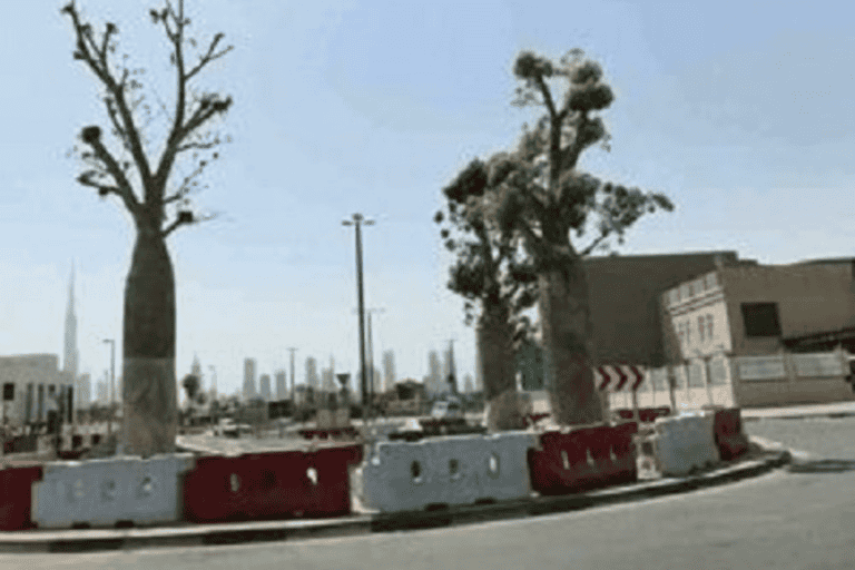 سرقة الامارات سقطرى watanserb.com