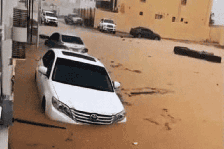 عملية إنقاذ طفل وامرأتين watanserb.com