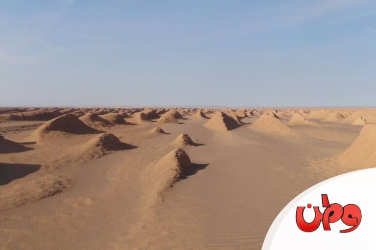 إنقاذ إماراتي في عمان watanserb.com