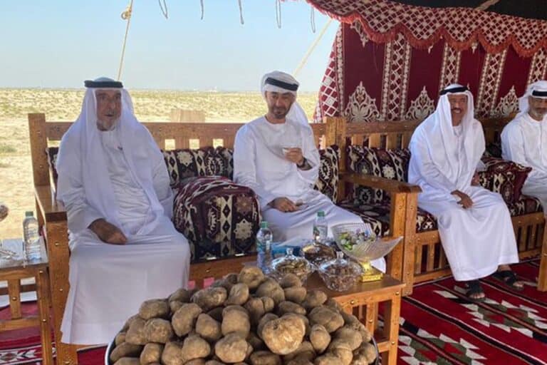 ظهور خليفة بن زايد watanserb.com