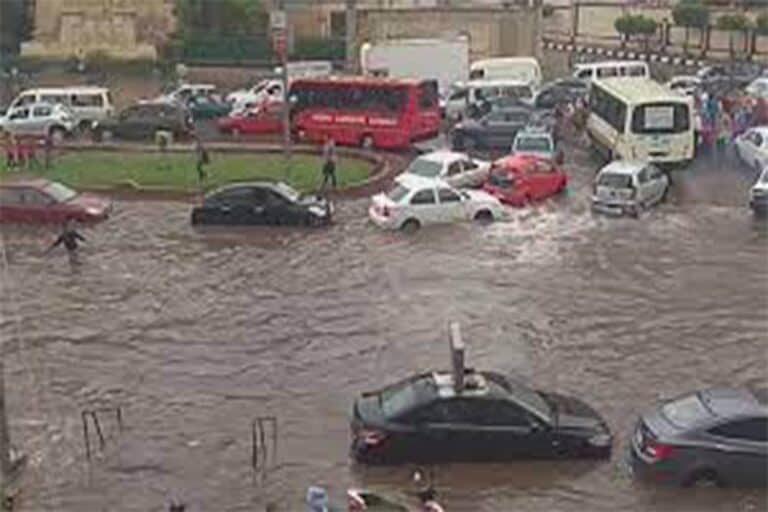 عاصفة التنين في مصر watanserb.com