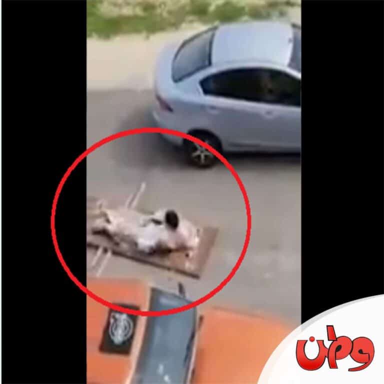 ميت يعود للحياة watanserb.com