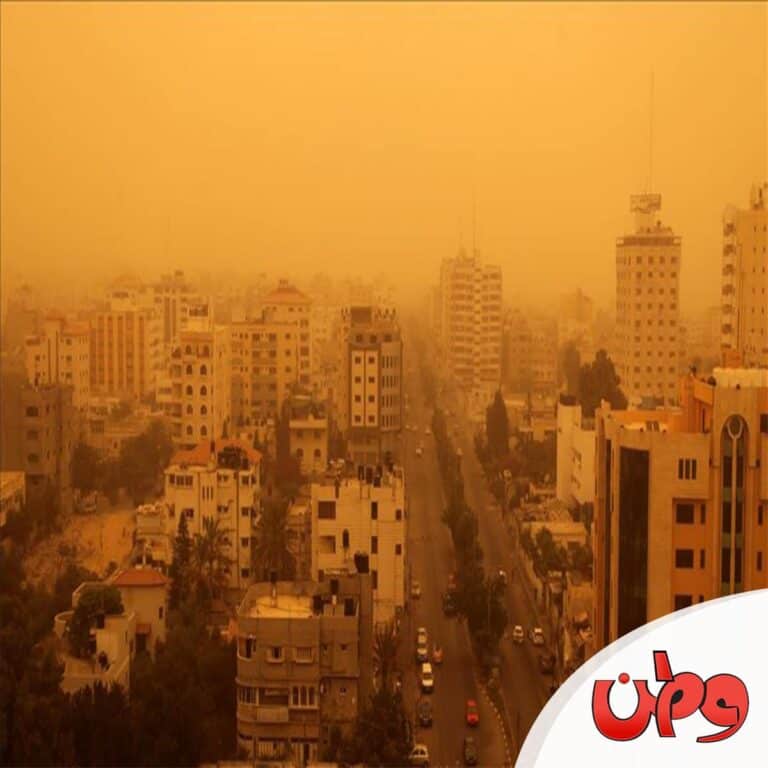 قرش الصحراء watanserb.com