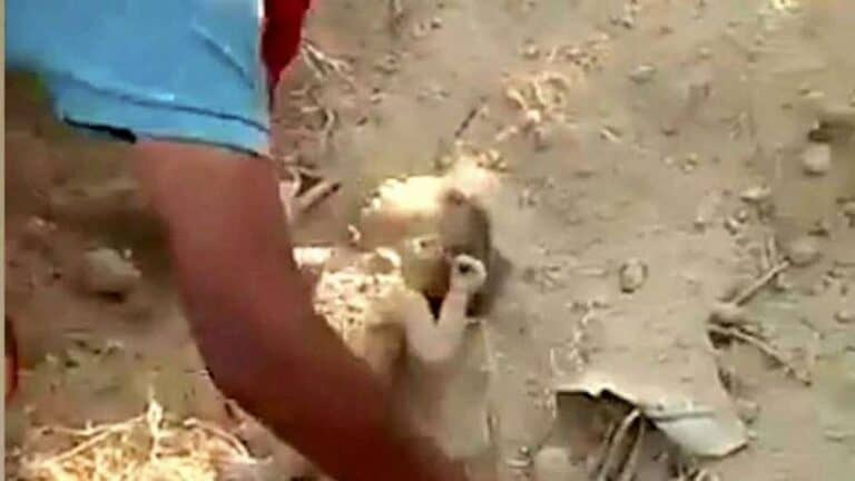 فتحت الشرطة الهندية تحقيقاً لمعرفة ملابسات دفن رضيع حيا بدم بارد watanserb.com