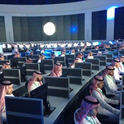 الذباب الاماراتي watanserb.com