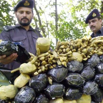 تاجر مخدرات في سلطنة عمان watanserb.com