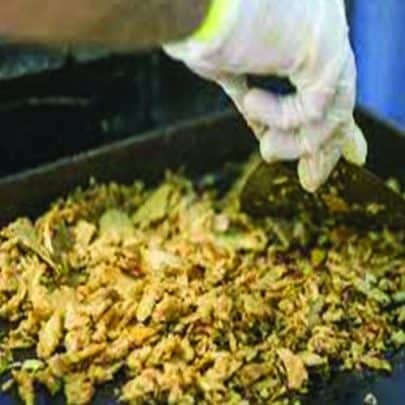 تسمم غذائي في الأردن watanserb.com