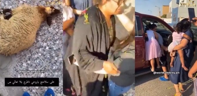 اخلاء سبيل هيا الشعيبي بكفالة 2000 دينار watanserb.com