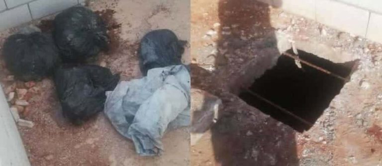 زوج لبناني يقتل زوجته ويقطعها ويضعها في أكياس قب انتحاره - جريمة قتل watanserb.com