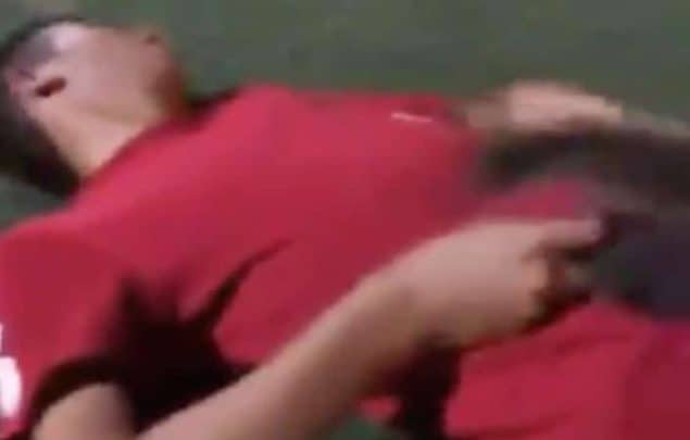 سعودي يتحرش بقطة watanserb.com