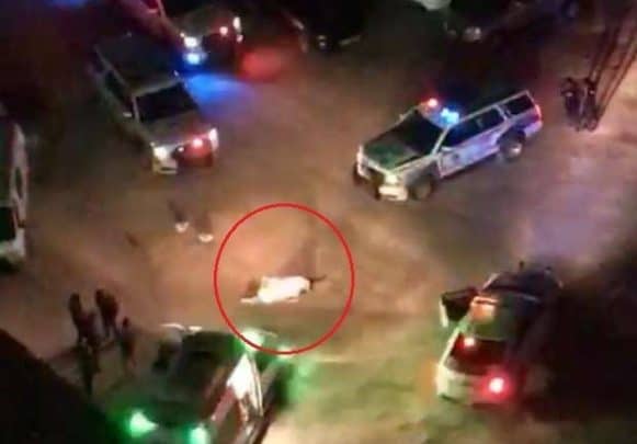 اعترافات سيدة كويتية بعد دهسها مصرياً في السالمية تتسبب بوفاته وتهربها خوفاً من العواقب مواطنة كويتية تدهس مصريا watanserb.com