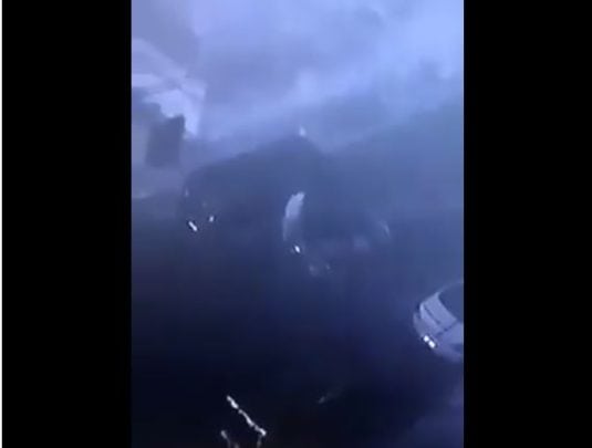 “شاهد” بلطجية في الأردن لم يتعظوا مما جرى لرفاقهم في الزرقاء وهذا ما فعلوه في إربد ورصدتهم الكاميرات اربد-سرقة لصوص سيارات الأردن watanserb.com