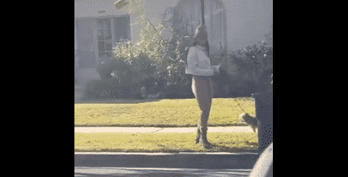 مع كلب.. “شاهد” ميا خليفة اعتقدت أن لا أحد يراها أثناء فعلتها المقززة في الشارع وأثار ضجة واسعة! صورة من الفيديو watanserb.com