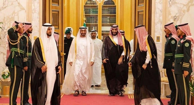محمد بن زايد ومحمد بن سلمان ، حرب اليمن watanserb.com