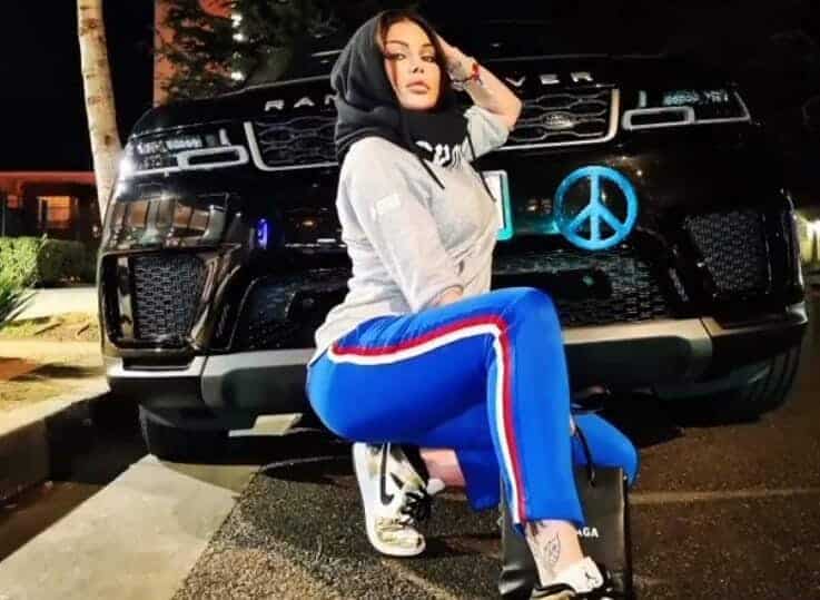 حجاب هيفاء وهبي