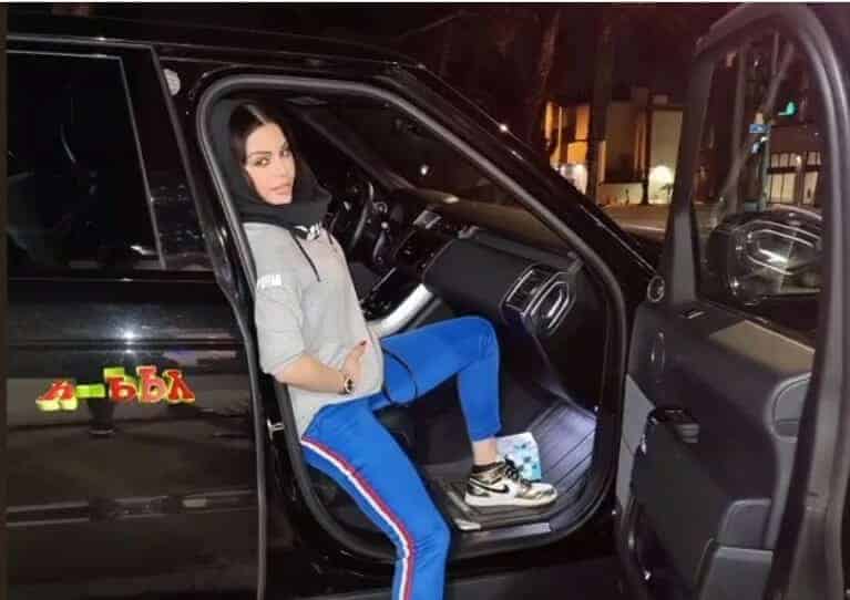 هيفاء وهبي بحجاب 