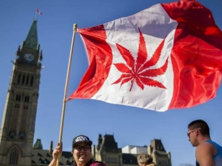 شركة كندية تثير غضب العرب بما فعلته watanserb.com