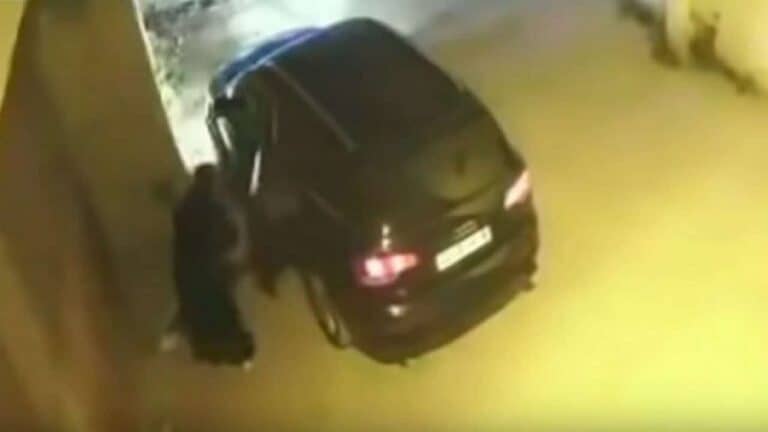 “المليونيرة المتسولة” تحدث ضجة كبيرة في المغرب وحقيقتها كشفت بالصدفة البحتة! المتسولة المليونيرة تثير ضجة في المغرب watanserb.com