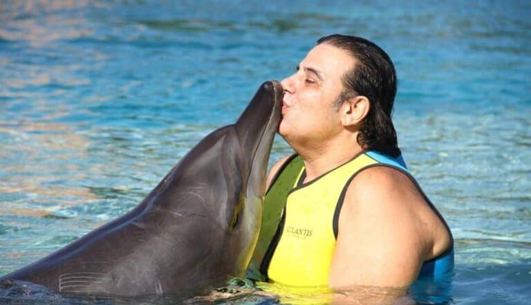 سمير صفير watanserb.com