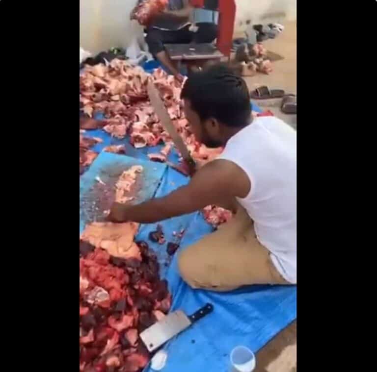 تحقيق رسمي في تجاوزات صحية للعمالة الوافدة بقطاع اللحوم في تبوك السعودية عمال في تبوك watanserb.com