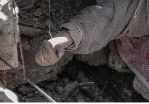 الشهيدة شيماء أبو العوف