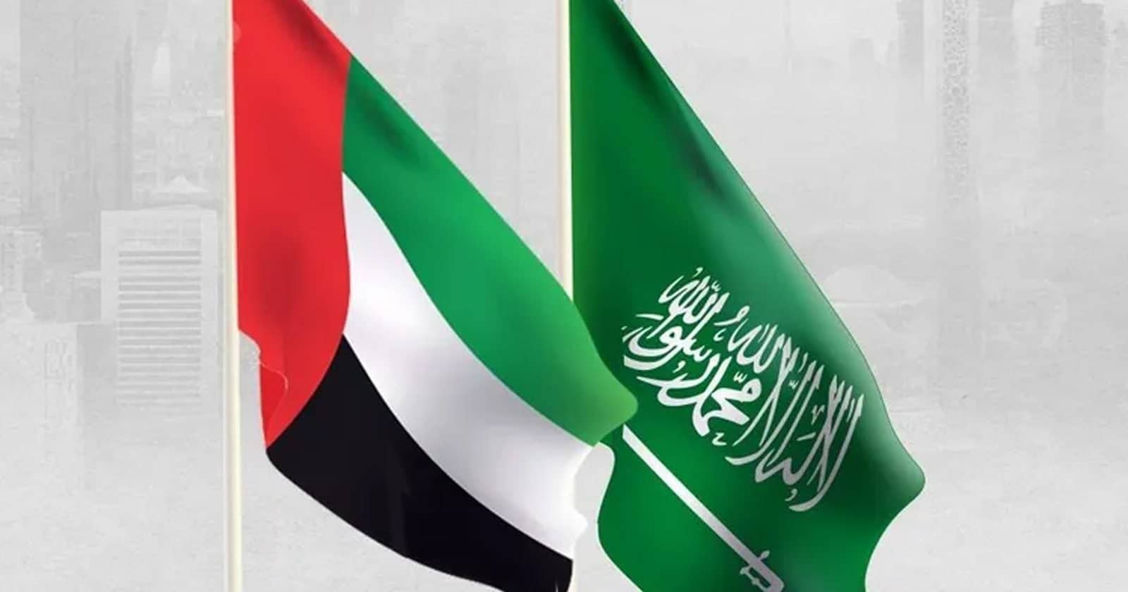 سعودي في الإمارات watanserb.com