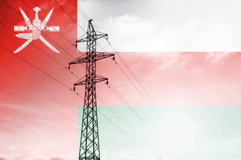 رفع الدعم عن الكهرباء watanserb.com