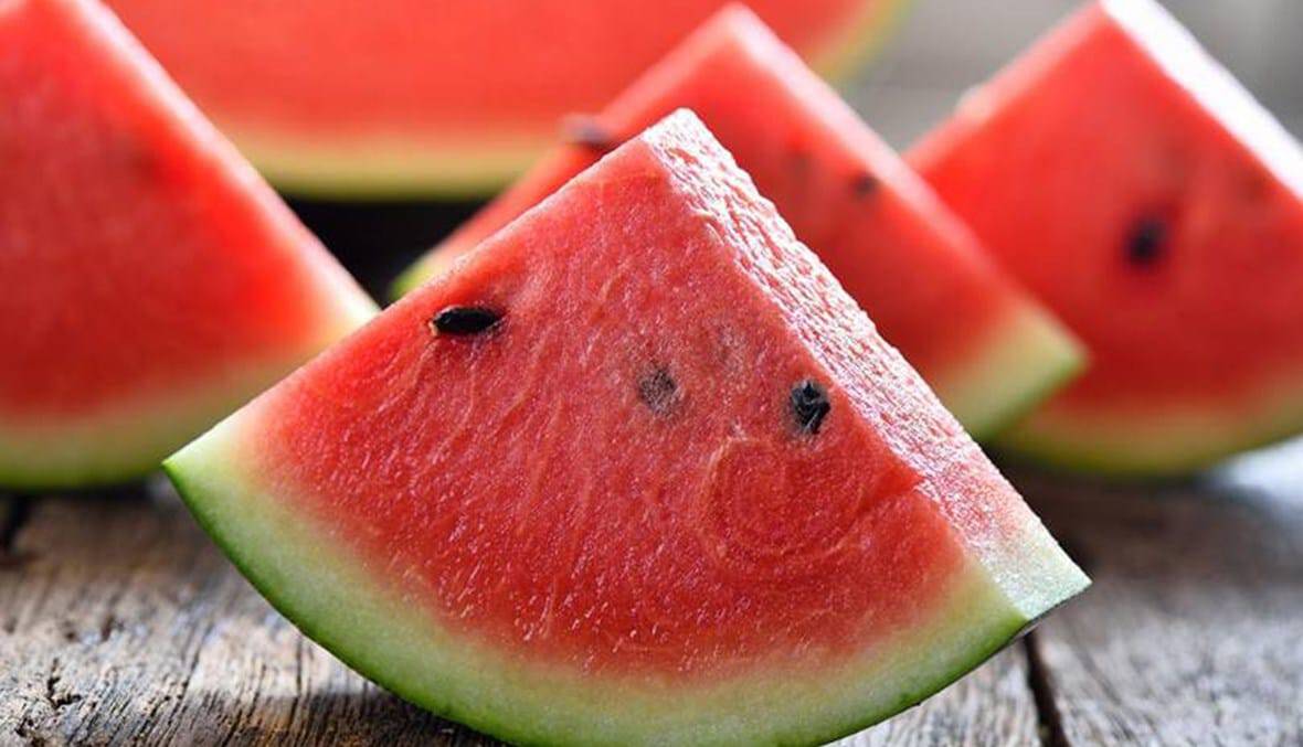 البطيخ watanserb.com