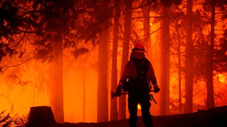 حرائق غابات عكار watanserb.com