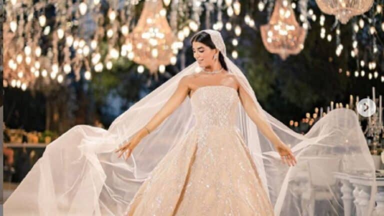 نوار الساحلي يفجر غضب اللبنانيين بحفل زفاف أسطوري لابنته (فيديو) حفل زفاف ابنة النائب اللبناني نوار الساحلي watanserb.com