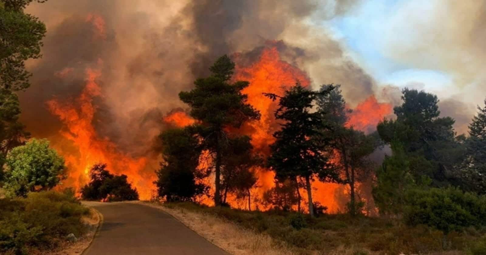 فيديوهات مرعبة.. حرائق القدس تتوسع وإسرائيل عاجزة وتطلب المساعدة الدولية حرائق القدس وإسرائيل watanserb.com
