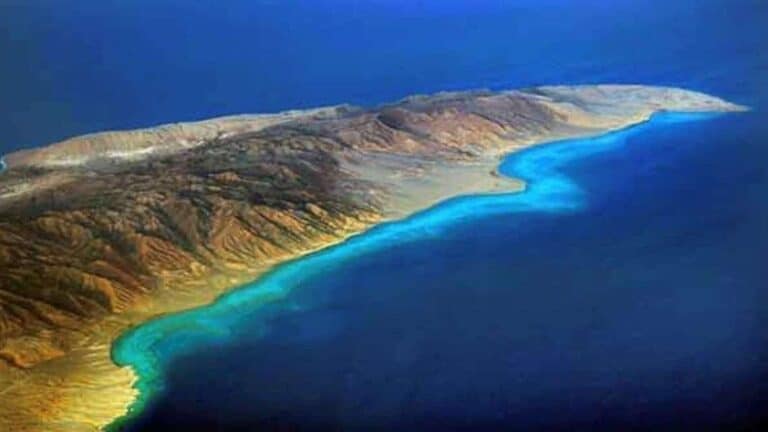 البحر الأحمر watanserb.com