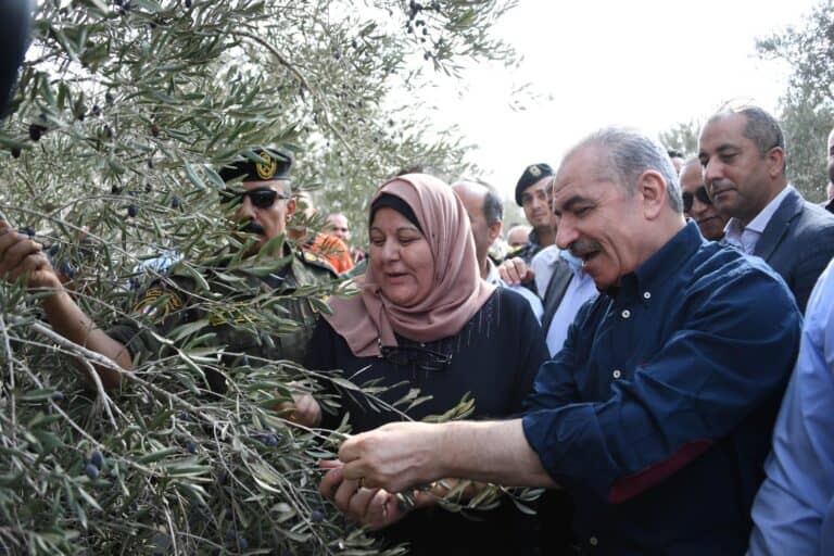 عنف المستوطنين بحق الفلسطينيين يتصاعد مع موسم قطف الزيتون watanserb.com