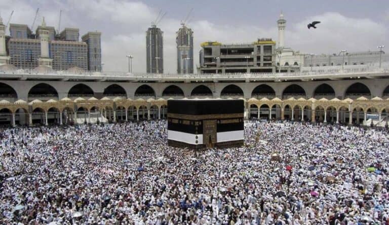 موسم الحج watanserb.com