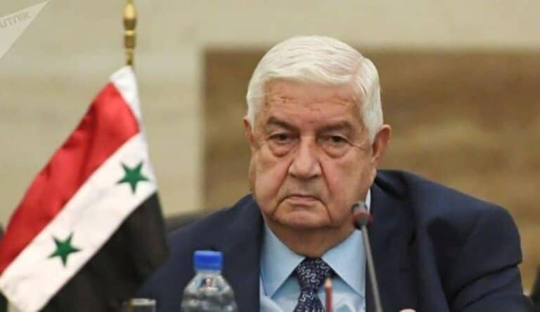 صحة الوزير وليد المعلم watanserb.com