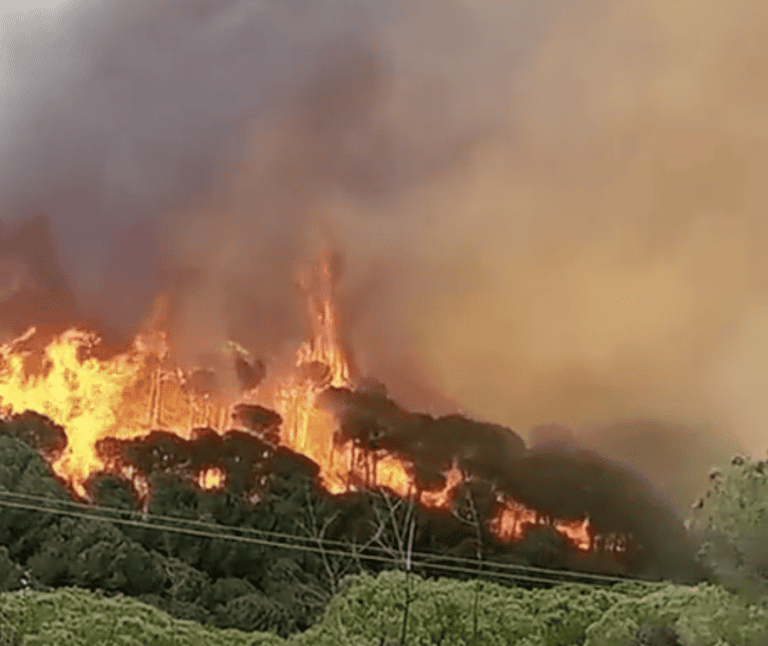 أسبوع الفوضى المناخية في الشرق الاوسط watanserb.com