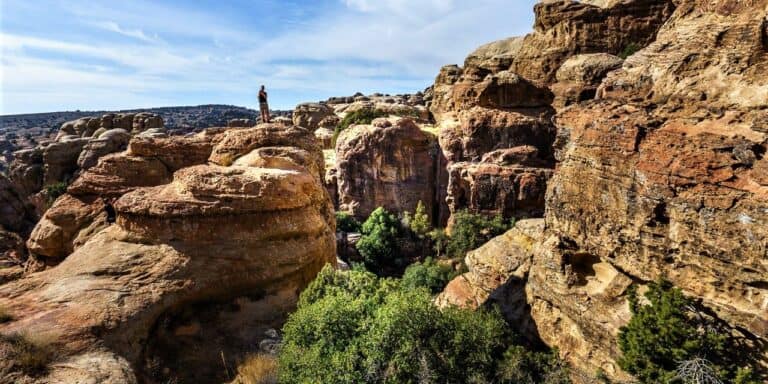 محمية ضانا .. كيف سيقضي مشروع تعدين النحاس على أكبر محمية طبيعية في الأردن! مخاطر مشروع تعدين النحاسفي القضاء على محمية ضانا watanserb.com