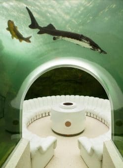 قصر محمد بن سلمان في فرنسا يتميز بغرفة شفافة تحت الماء