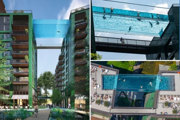 أول بركة عائمة في العالم watanserb.com