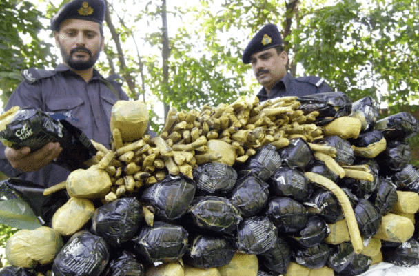 السعودية عاصمة الحبوب المخدرة watanserb.com