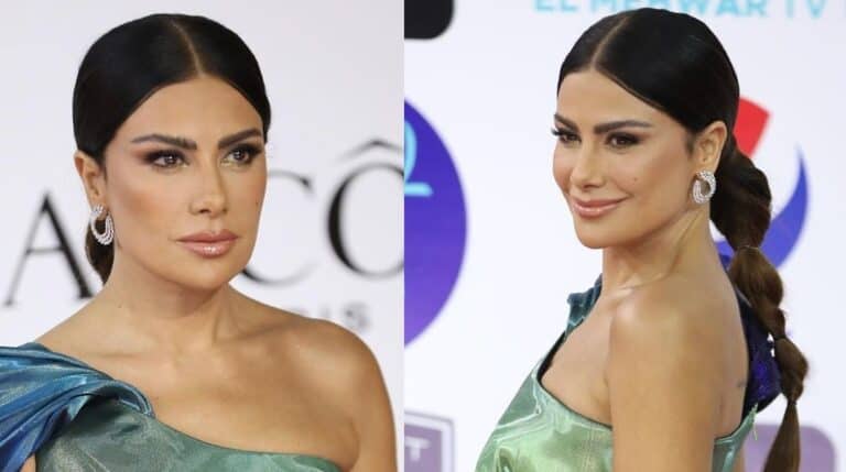 .. مُعجب يصدم صبا مبارك بتصرفه أثناء اقترابها من الجمهور watanserb.com