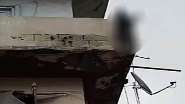 كلب معلّق على شرفة منزل في طرابلس watanserb.com