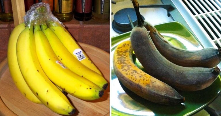 تحول الموز إلى اللون البني watanserb.com