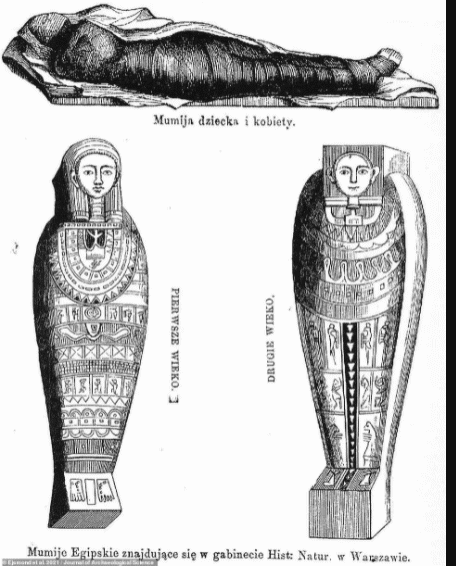 مومياء مصرية 