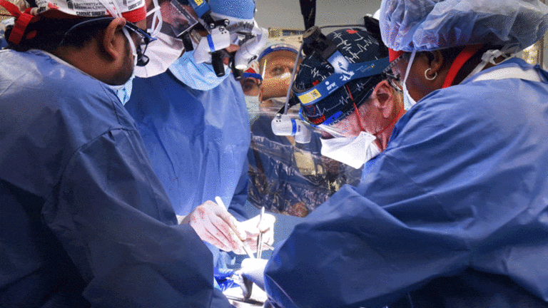 اختراق علمي كبير.. جراحون أمريكيون ينجحون في زراعة قلب خنزير في جسم إنسان زراعة قلب خنزير watanserb.com