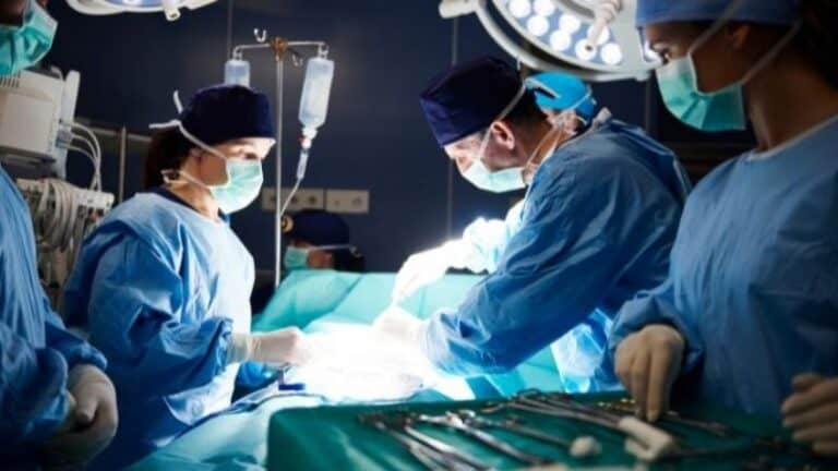 إمكانية زرع الأعضاء من حيوانات إلى البشر: آفاق جديدة وحدود أخلاقية واجتماعية فوائد زرع الأعضاء من حيوان إلى إنسان watanserb.com