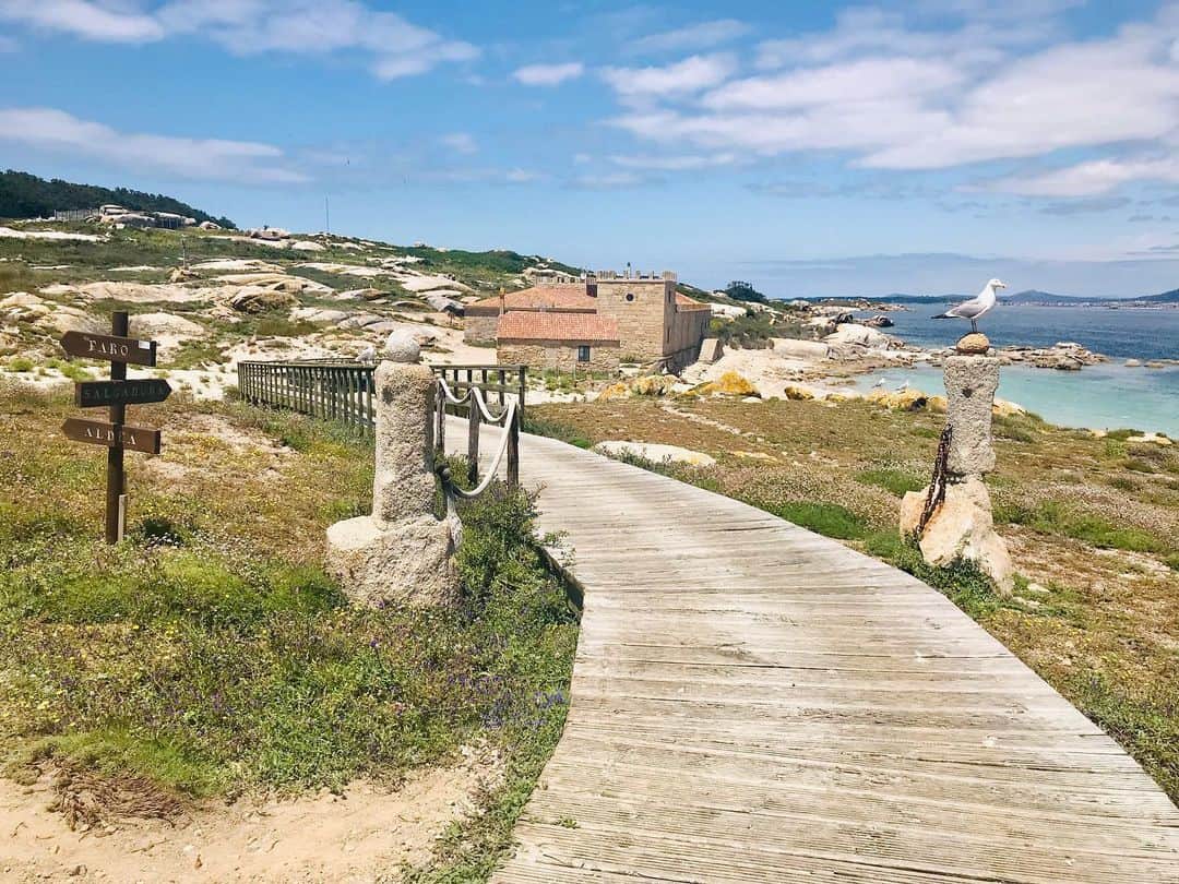 جزيرة الفردوس 