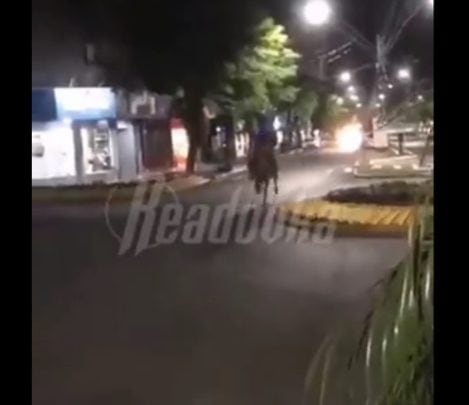 عمال توصيل الطلبات في إيطاليا يستخدمون الأحصنة بسبب ارتفاع أسعار الوقود (شاهد) ارتفاع أسعار الوقود watanserb.com